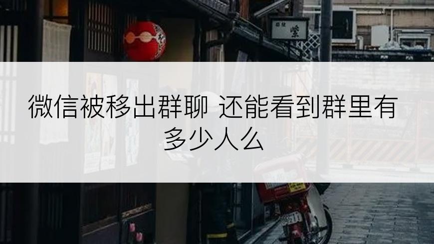 微信被移出群聊 还能看到群里有多少人么