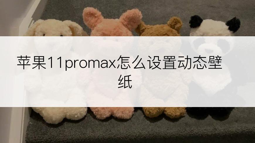 苹果11promax怎么设置动态壁纸