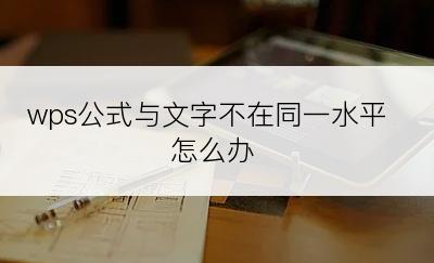 wps公式与文字不在同一水平怎么办