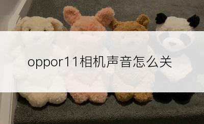 oppor11相机声音怎么关
