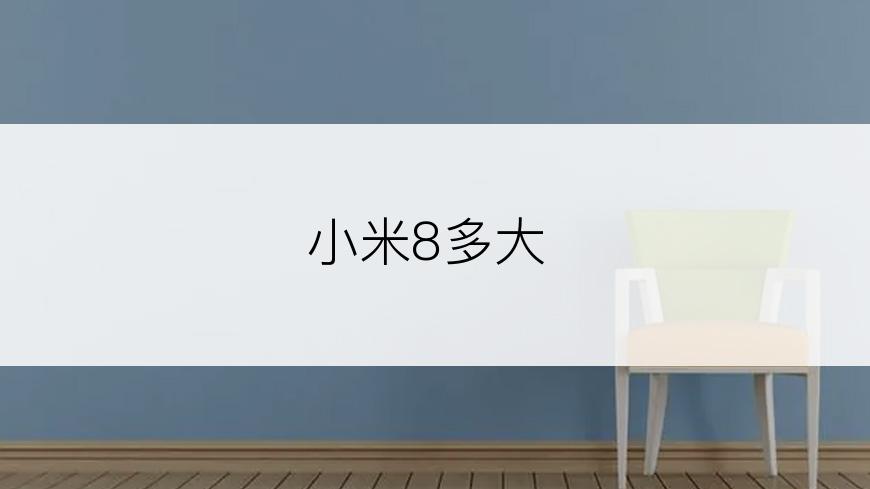 小米8多大