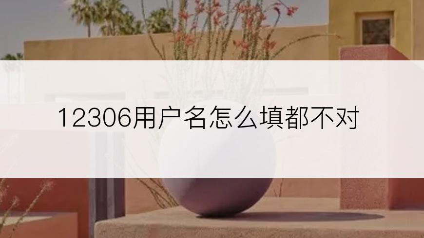 12306用户名怎么填都不对