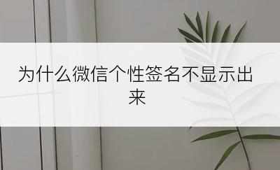 为什么微信个性签名不显示出来