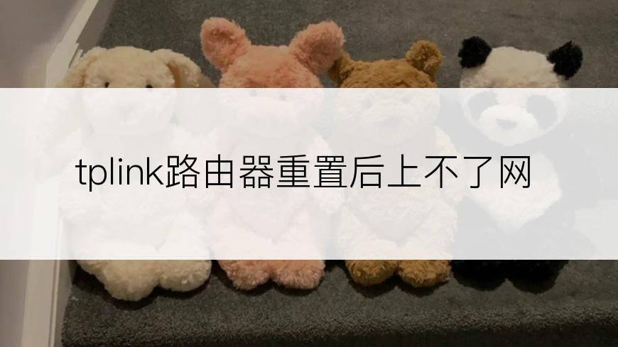 tplink路由器重置后上不了网