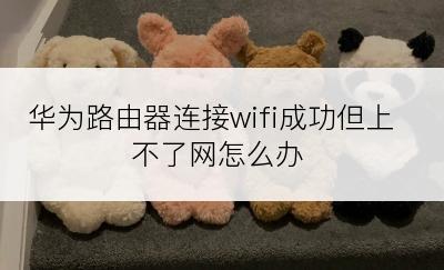 华为路由器连接wifi成功但上不了网怎么办