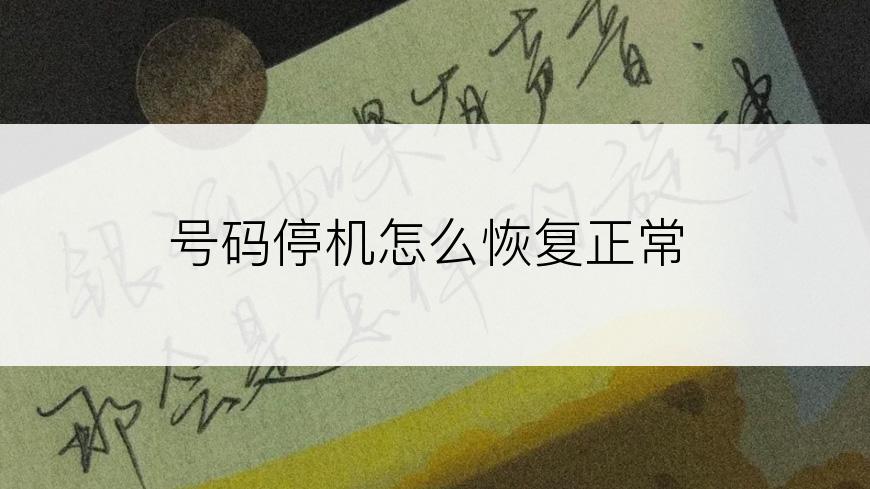 号码停机怎么恢复正常
