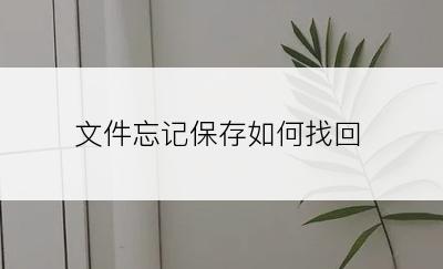 文件忘记保存如何找回