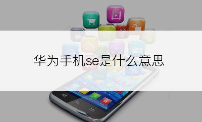 华为手机se是什么意思