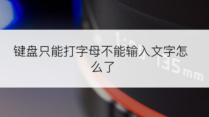 键盘只能打字母不能输入文字怎么了