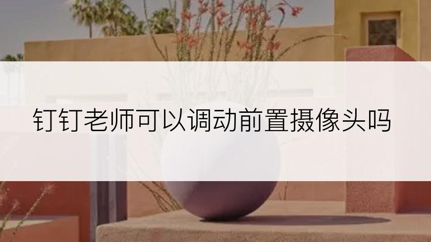 钉钉老师可以调动前置摄像头吗