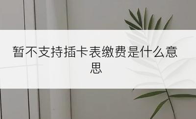 暂不支持插卡表缴费是什么意思