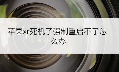 苹果xr死机了强制重启不了怎么办