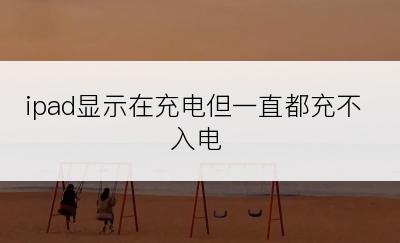 ipad显示在充电但一直都充不入电