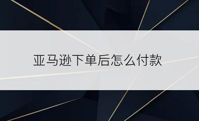 亚马逊下单后怎么付款