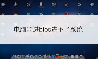 电脑能进bios进不了系统