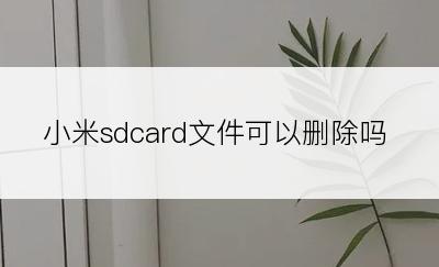 小米sdcard文件可以删除吗