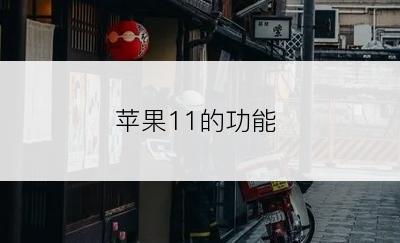 苹果11的功能