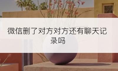 微信删了对方对方还有聊天记录吗
