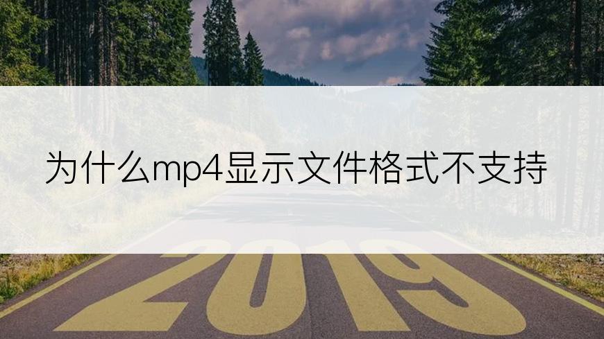 为什么mp4显示文件格式不支持