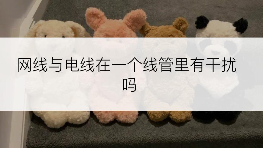 网线与电线在一个线管里有干扰吗
