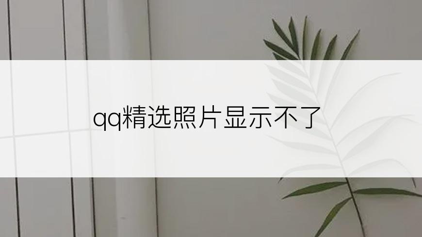 qq精选照片显示不了