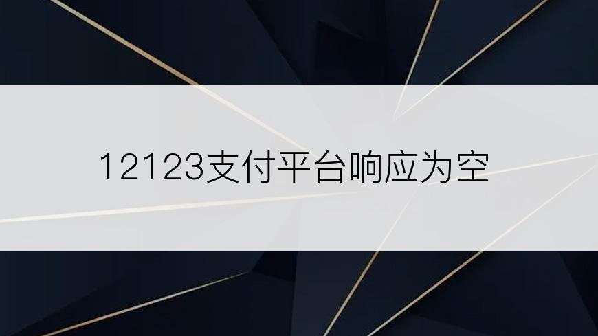 12123支付平台响应为空