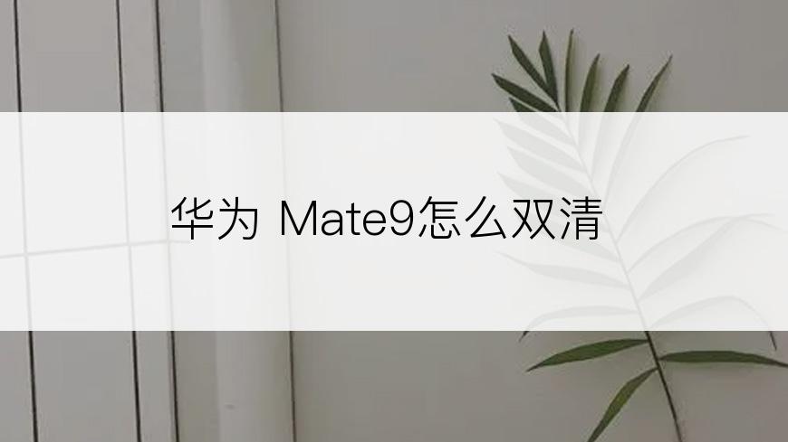 华为 Mate9怎么双清