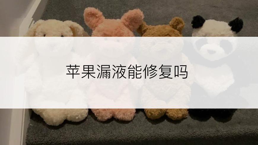 苹果漏液能修复吗