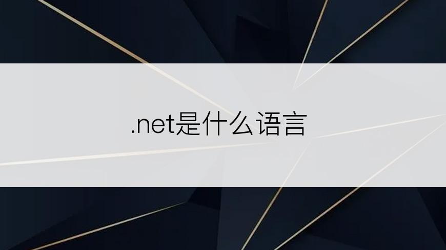 .net是什么语言