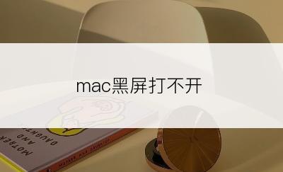 mac黑屏打不开