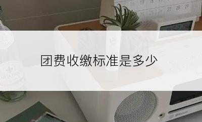 团费收缴标准是多少