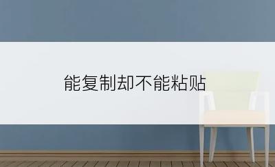 能复制却不能粘贴