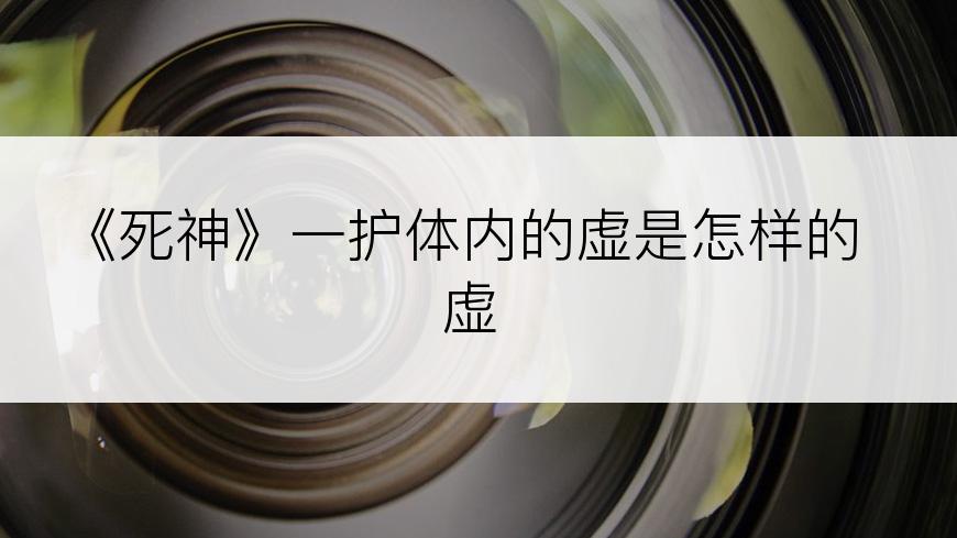 《死神》一护体内的虚是怎样的虚