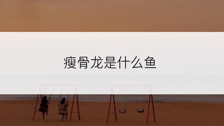 瘦骨龙是什么鱼