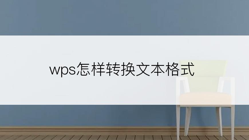 wps怎样转换文本格式