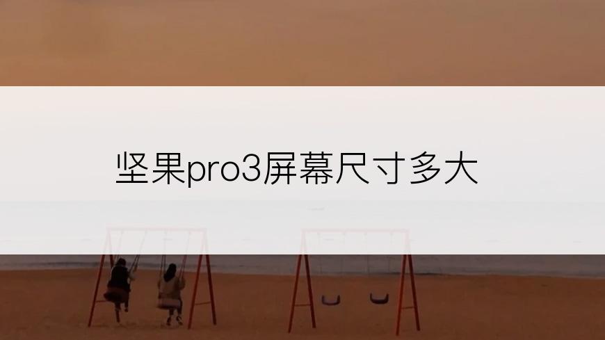 坚果pro3屏幕尺寸多大