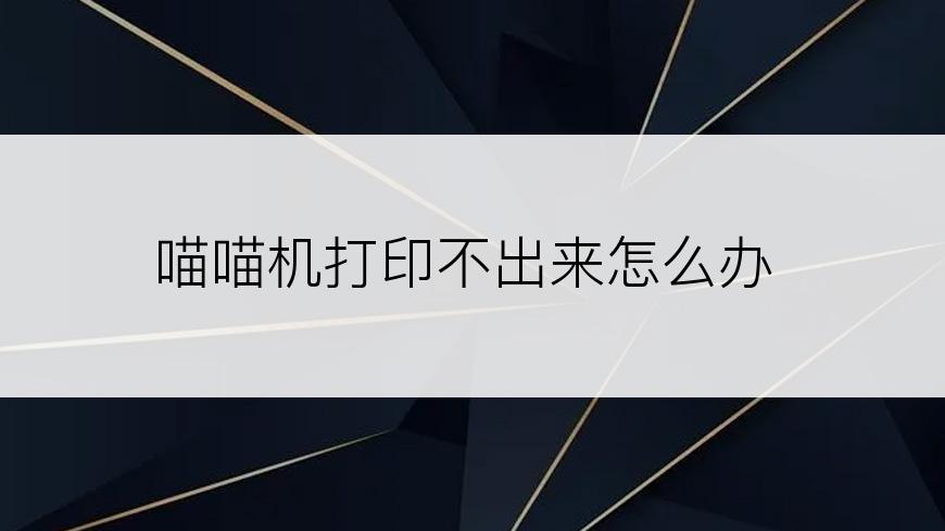 喵喵机打印不出来怎么办