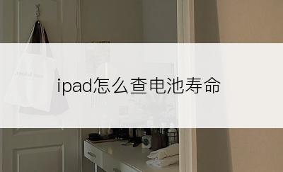 ipad怎么查电池寿命
