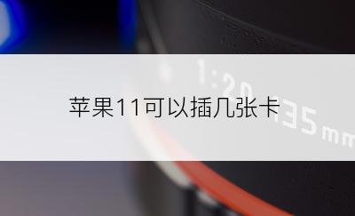 苹果11可以插几张卡