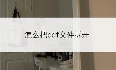 怎么把pdf文件拆开