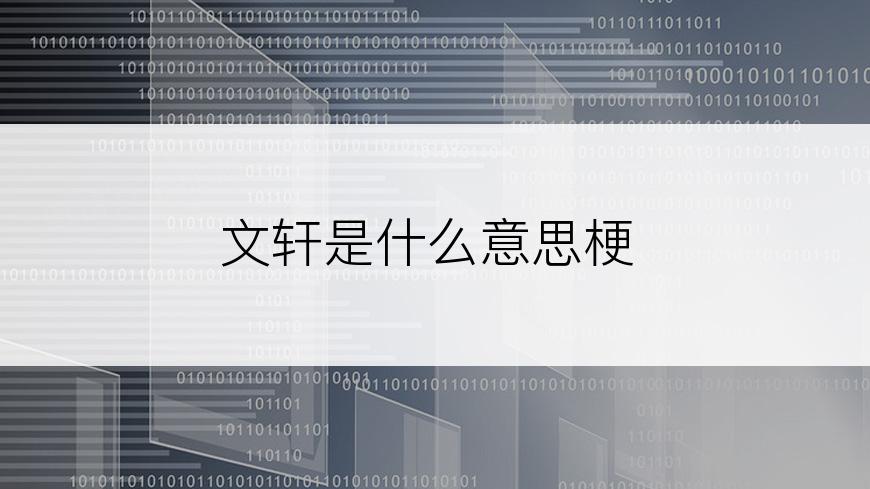文轩是什么意思梗