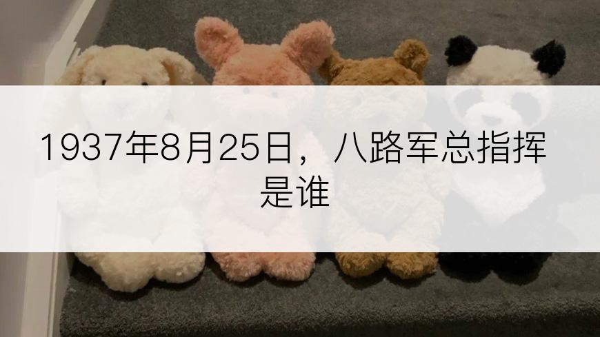 1937年8月25日，八路军总指挥是谁