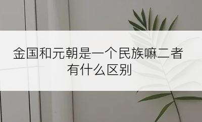 金国和元朝是一个民族嘛二者有什么区别