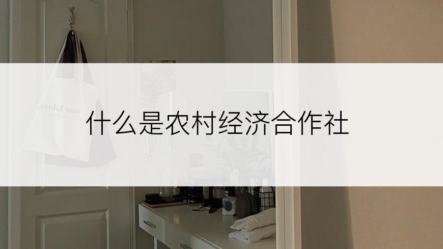 什么是农村经济合作社