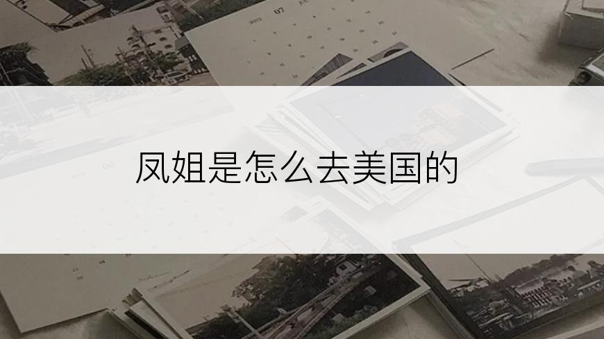 凤姐是怎么去美国的