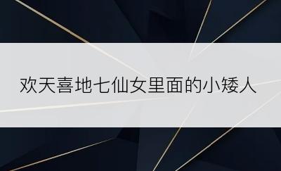 欢天喜地七仙女里面的小矮人