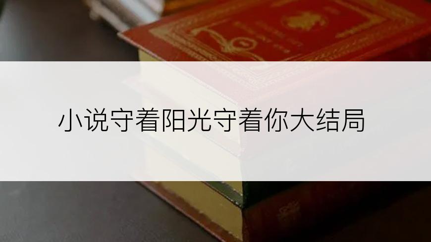 小说守着阳光守着你大结局