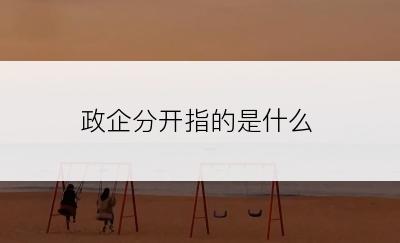 政企分开指的是什么
