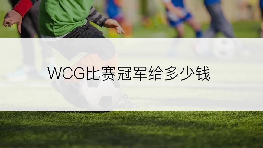 WCG比赛冠军给多少钱