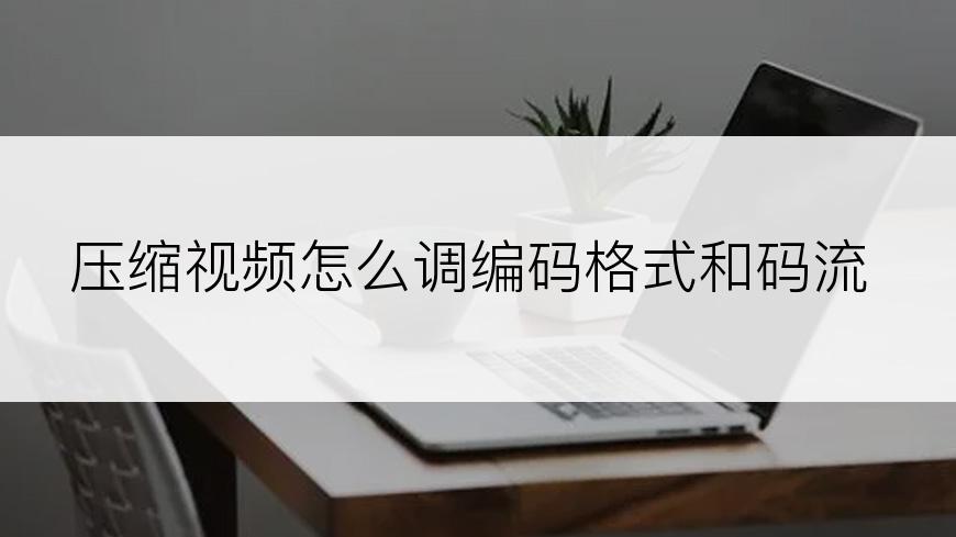 压缩视频怎么调编码格式和码流